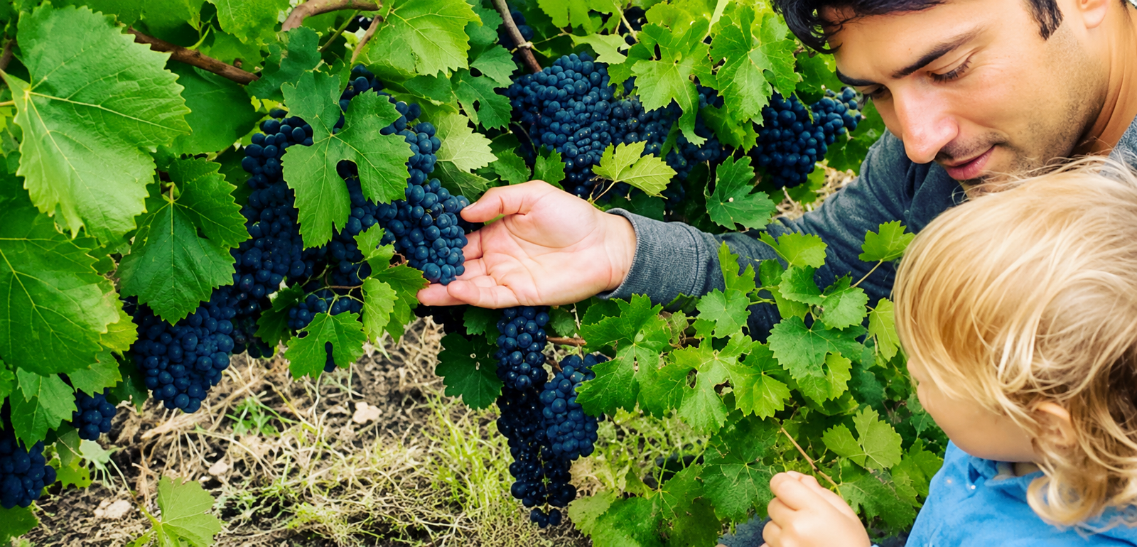 Finca La Juanita