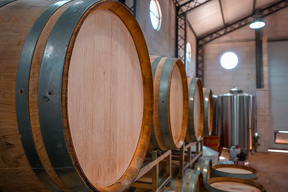 Cosecha manual en Gamboa - Viñas & Bodega