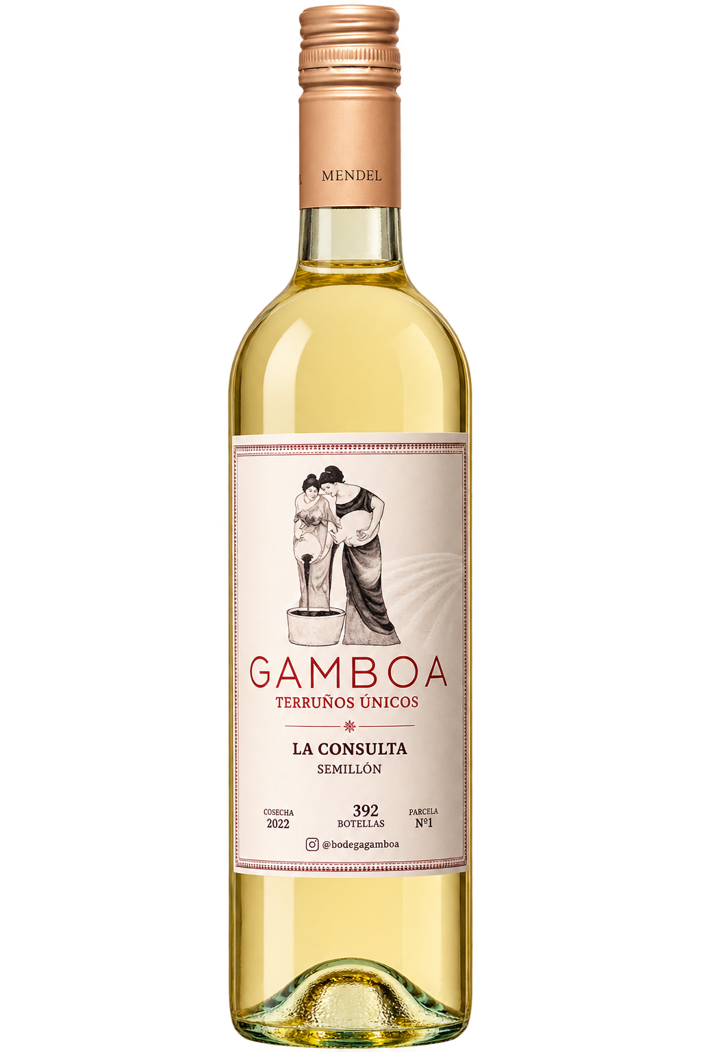 Vino Blanco de Gamboa - Viñas & Bodega