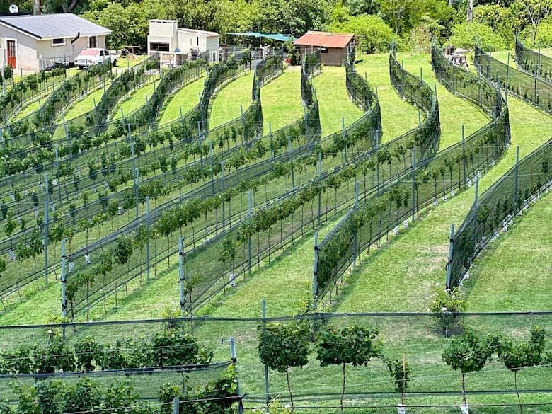 Finca La Granja