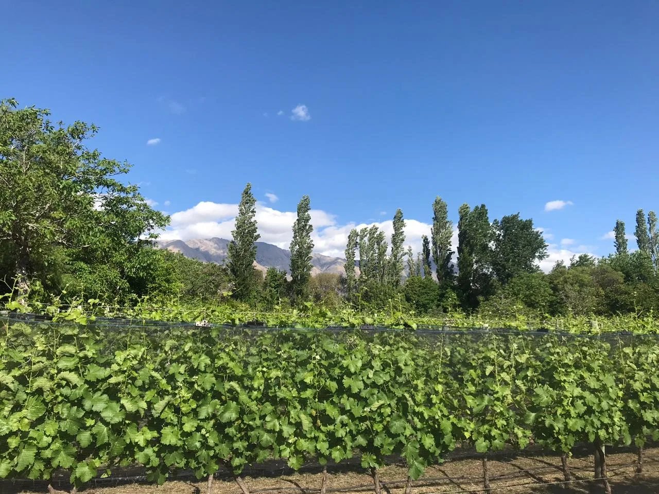 Bodega Santos Quiroga