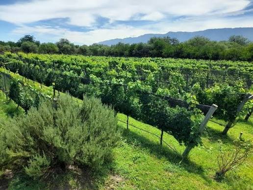 Finca El Boleado