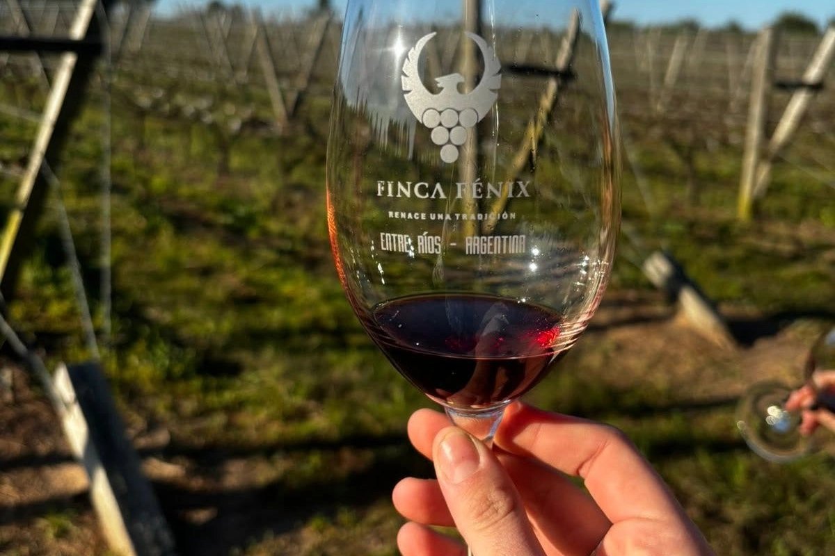 Finca Fénix