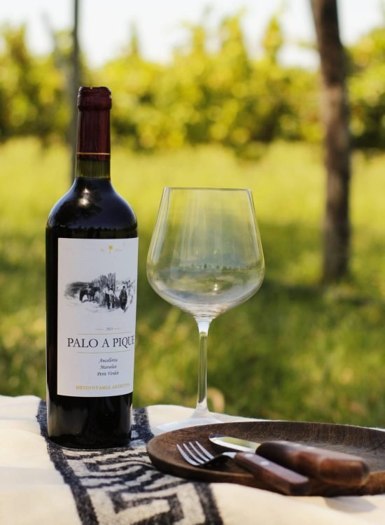 Experiencia de vino y gastronomía en Altos del Palmar