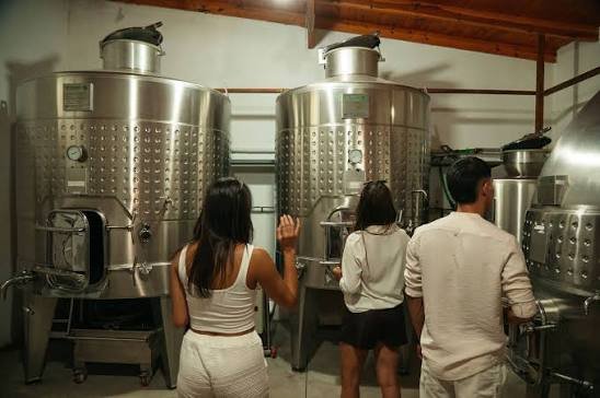 Visita guiada en Bodega Ianni