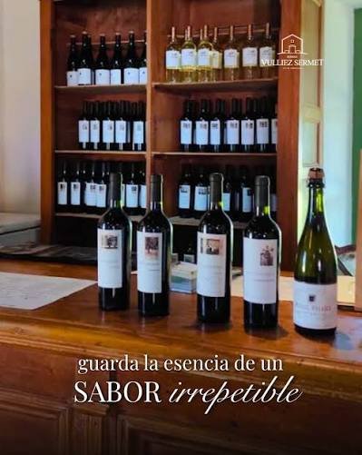 Bar y gastronomía de Bodega Vulliez Sermet
