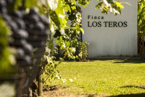 Finca Los Teros