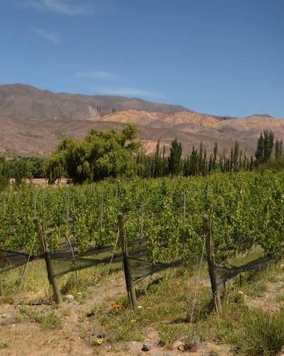 Finca Tuluz