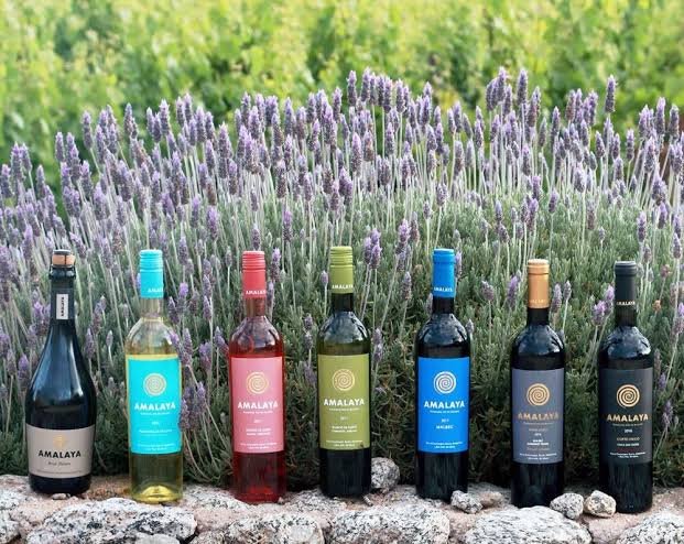 Equilibrio entre variedades en Bodega Amalaya