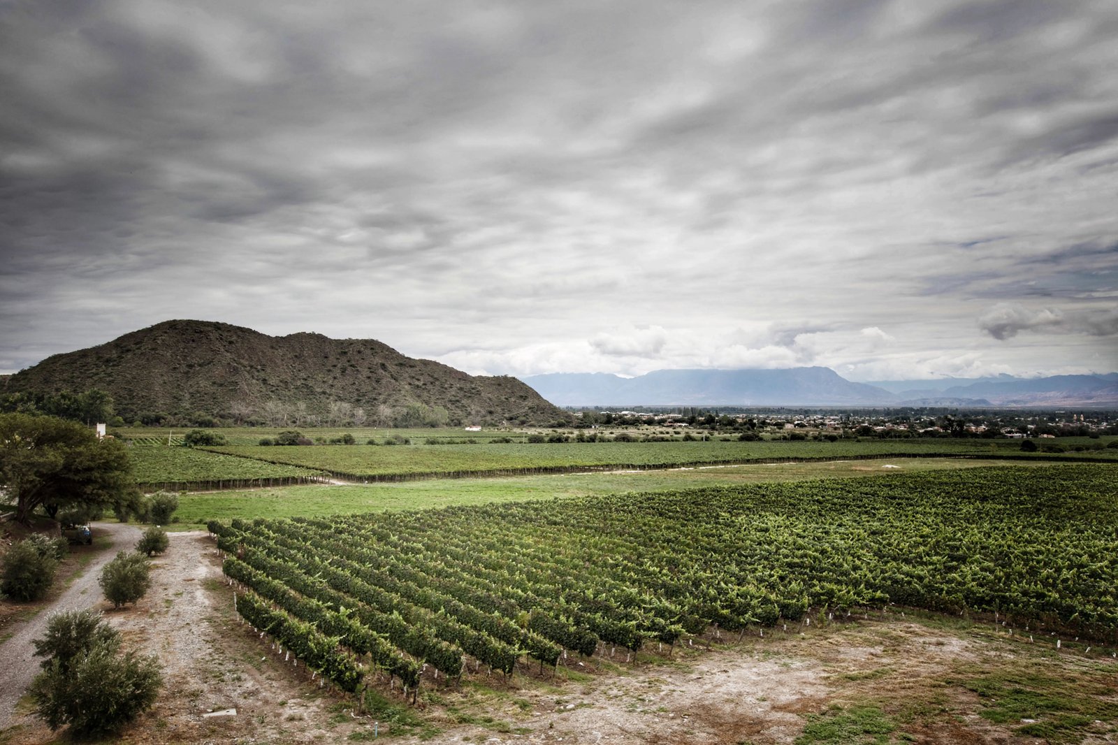 Valles Calchaquíes en Bodega Amalaya