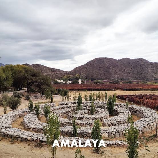 Una búsqueda nacida en altura en Bodega Amalaya