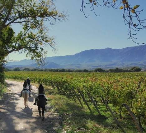 Cuatro altitudes, distintos terruños en Bodega Colomé