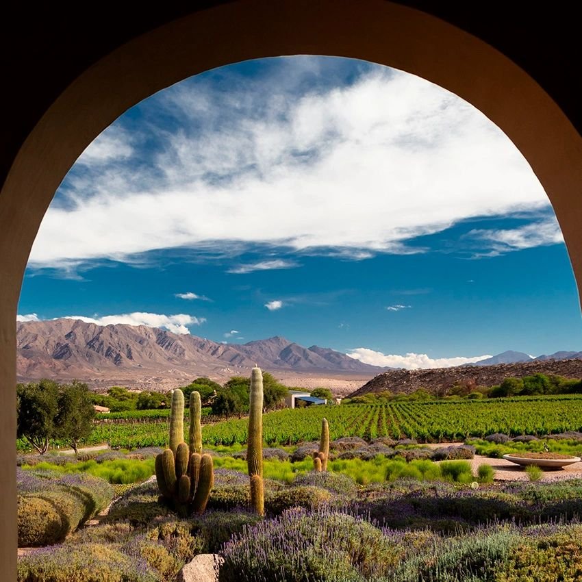Vino, naturaleza y arte en Bodega Colomé