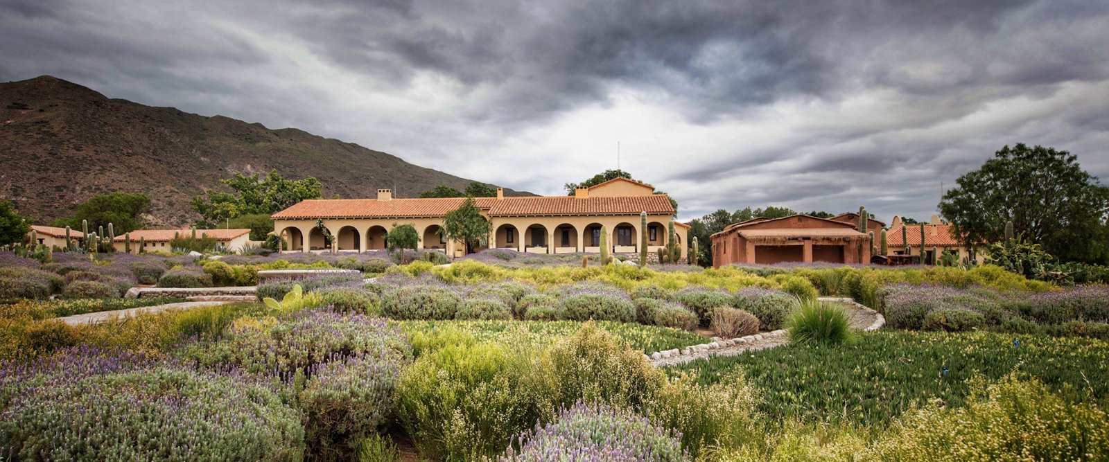 Bodega Colomé