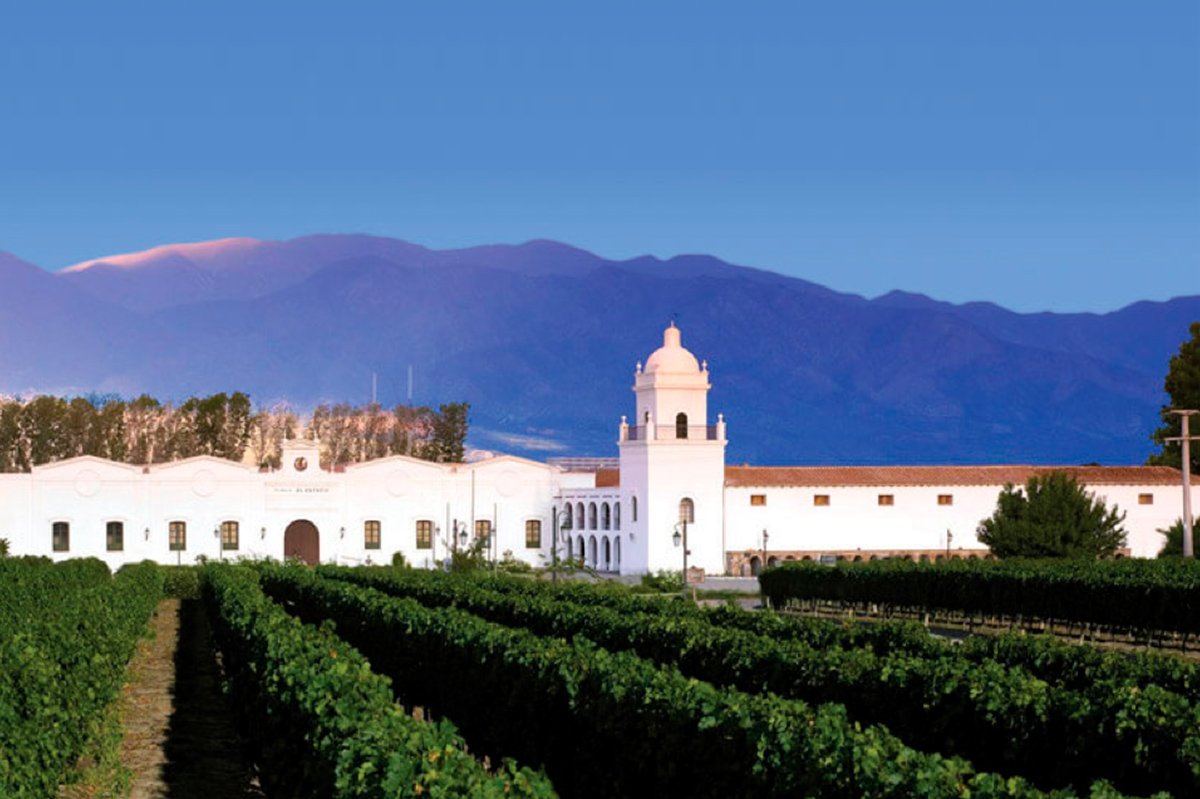 Una historia nacida en Cafayate en El Esteco