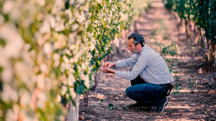 Visita a la bodega en El Esteco