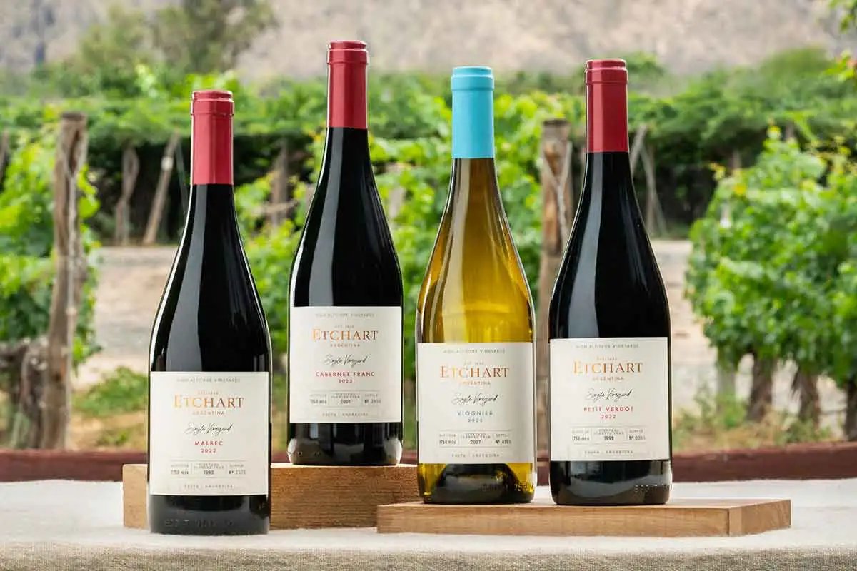 El valor del viñedo de altura en Bodegas Etchart