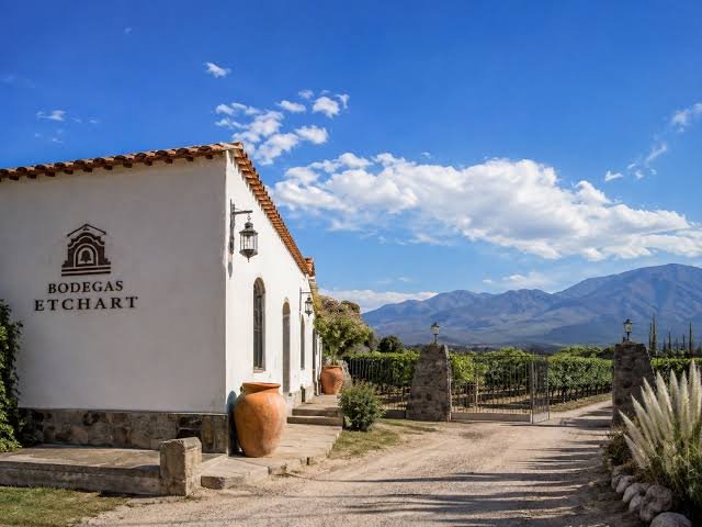 Viñedos de altura en Bodegas Etchart