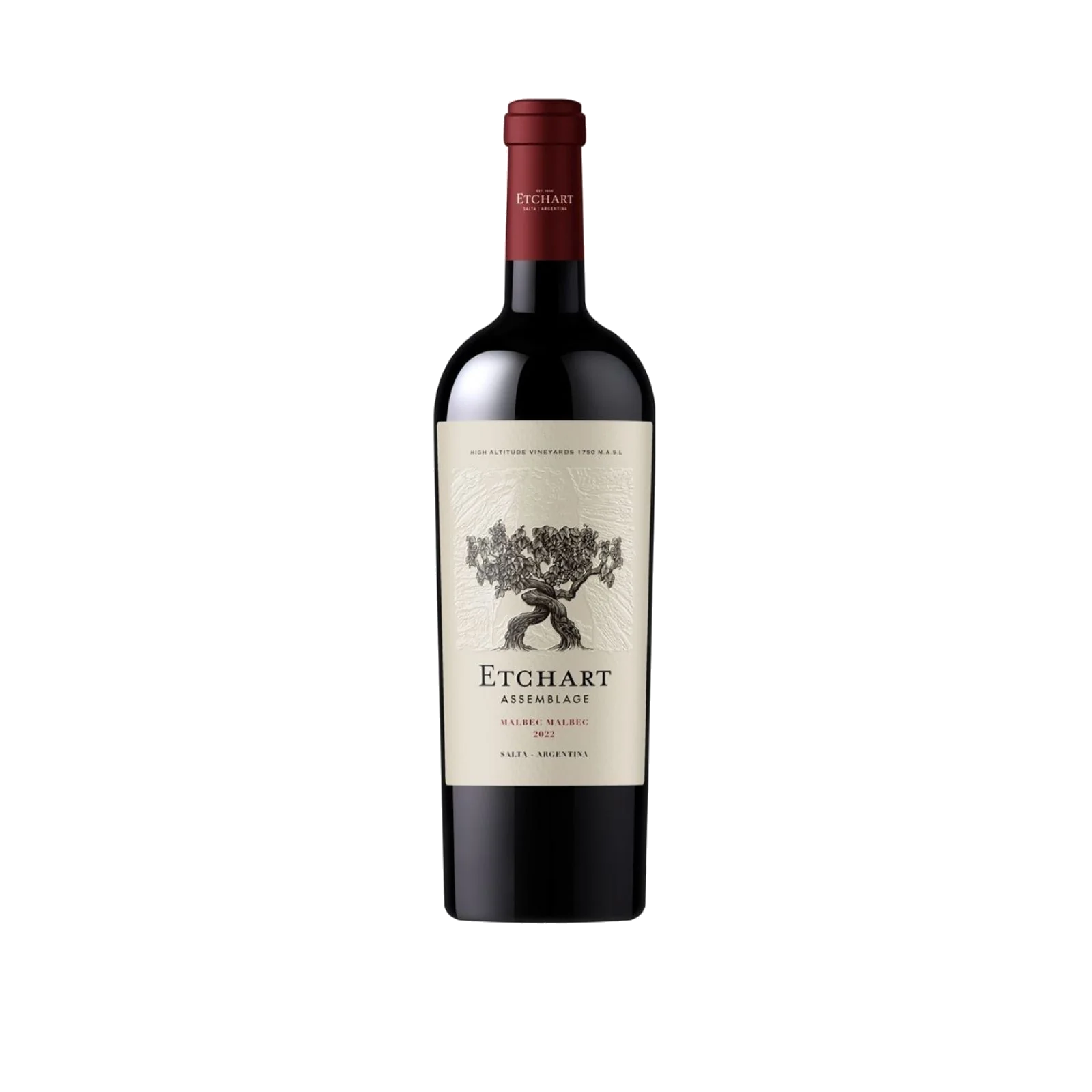 Malbec de Bodegas Etchart