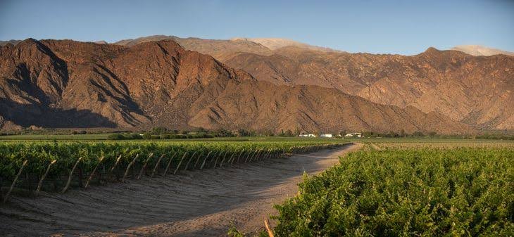 Visita a la bodega en Bodegas Etchart
