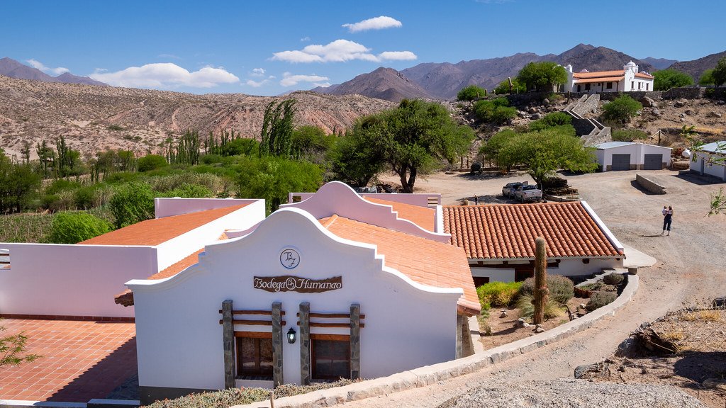 Un proyecto en el Valle de Molinos en Bodega Humanao Amaicha