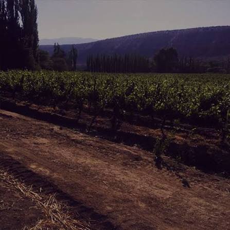 Visita con reserva en Bodega Humanao Amaicha
