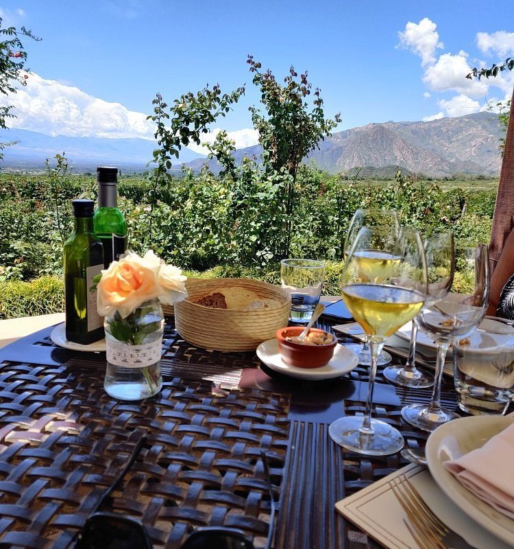 Degustaciones en Piattelli Vineyards