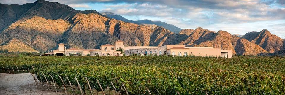 Viñedos de gran altura en Piattelli Vineyards