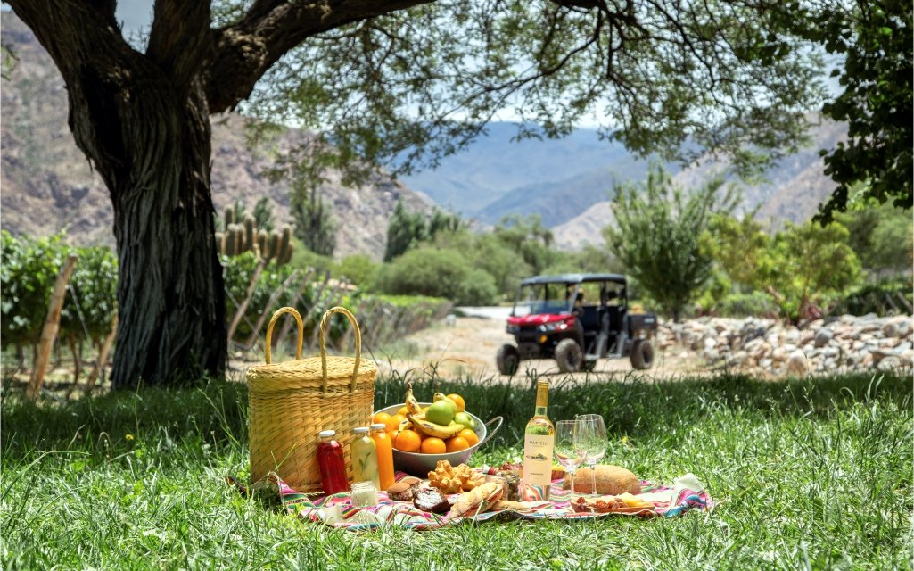 Visita a la bodega en Piattelli Vineyards