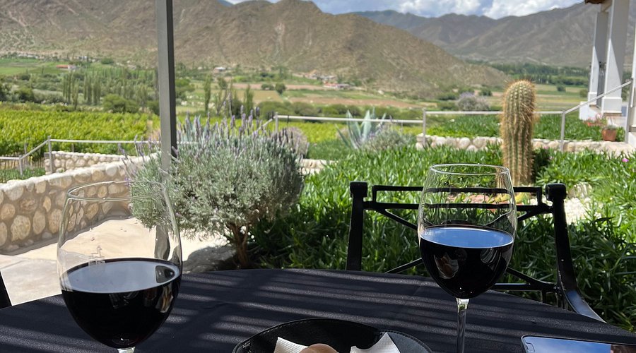 Degustaciones en Bodega Puna