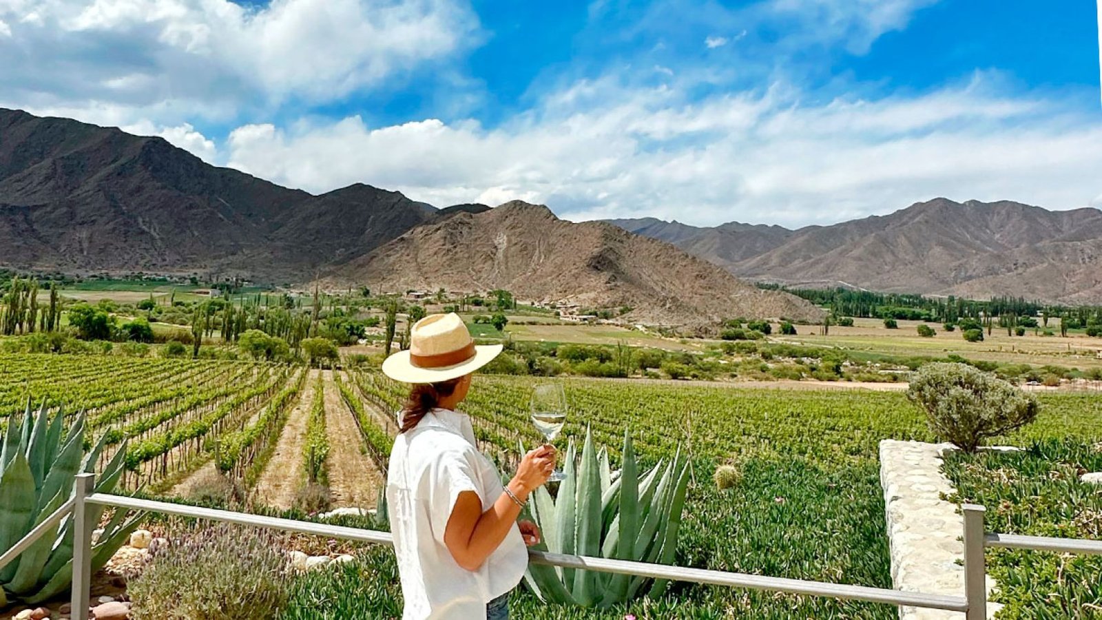 Visita guiada en Bodega Puna