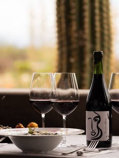 Catas y degustaciones en Viñas en Flor