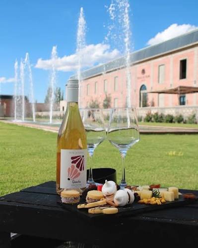 Vinos del Valle de Cafayate en Viñas en Flor