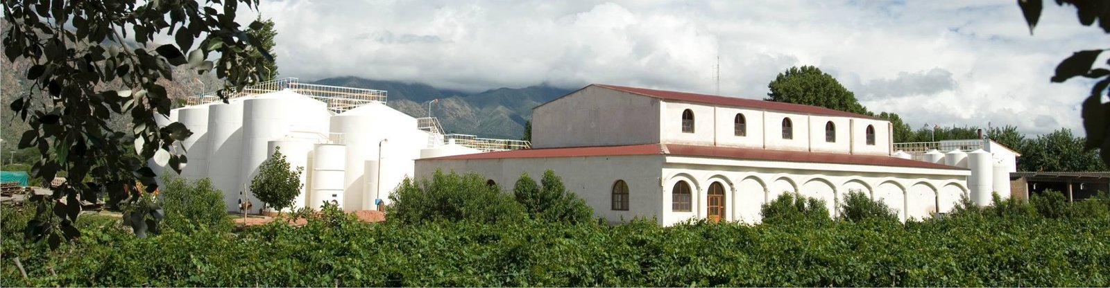 Domingo Hermanos y Domingo Molina
