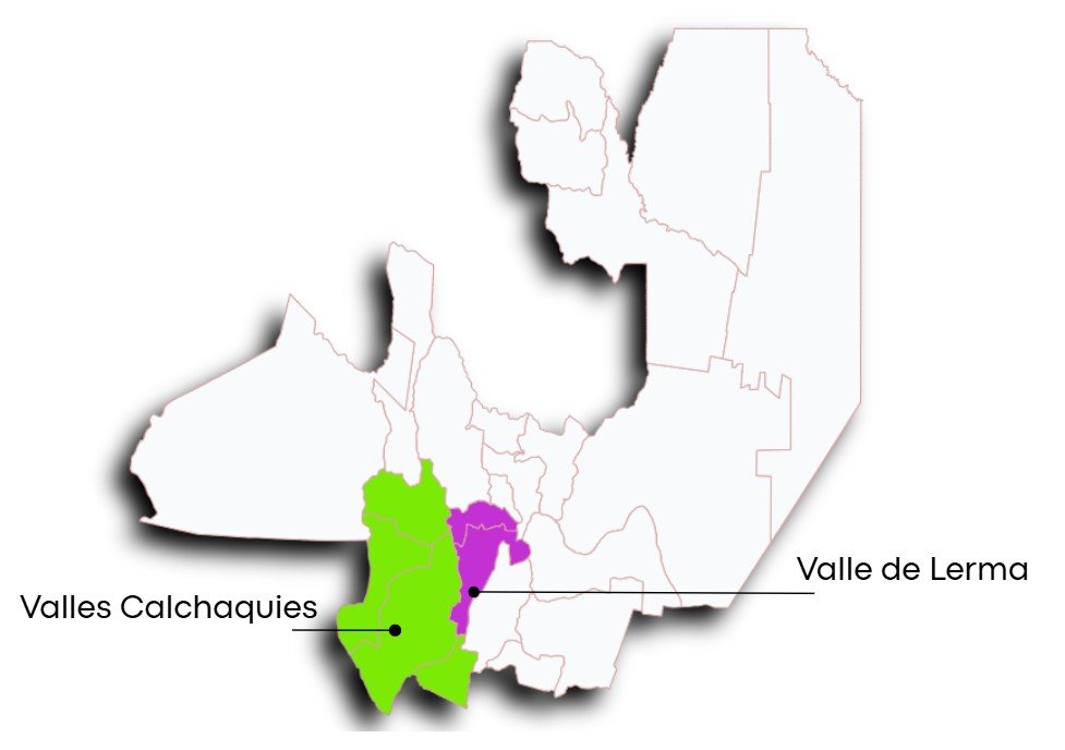 Mapa vitivinícola de Salta